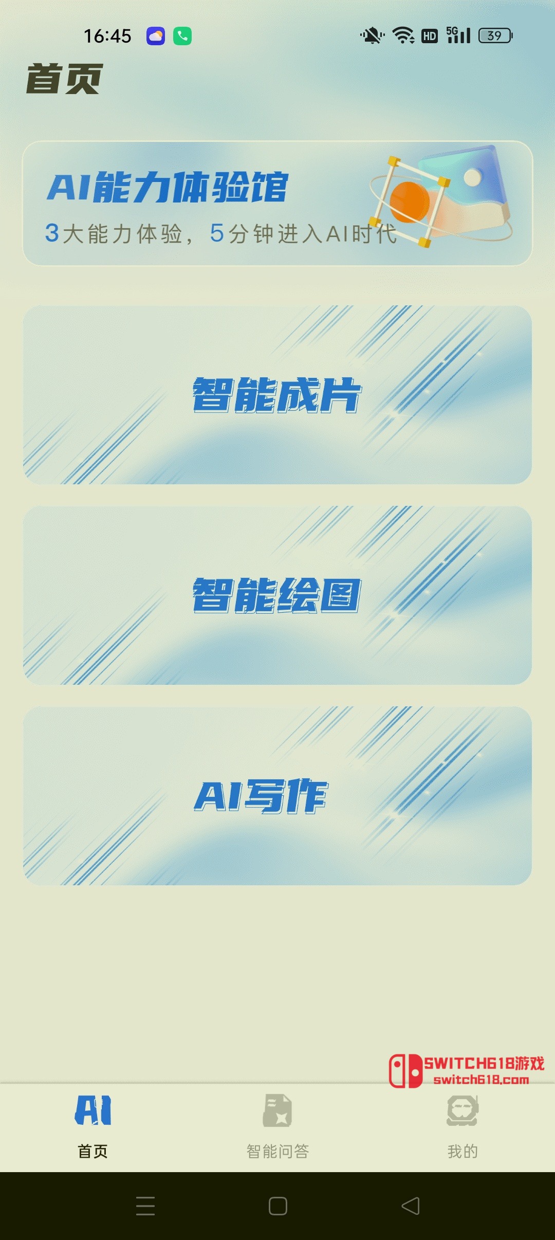 Image 4